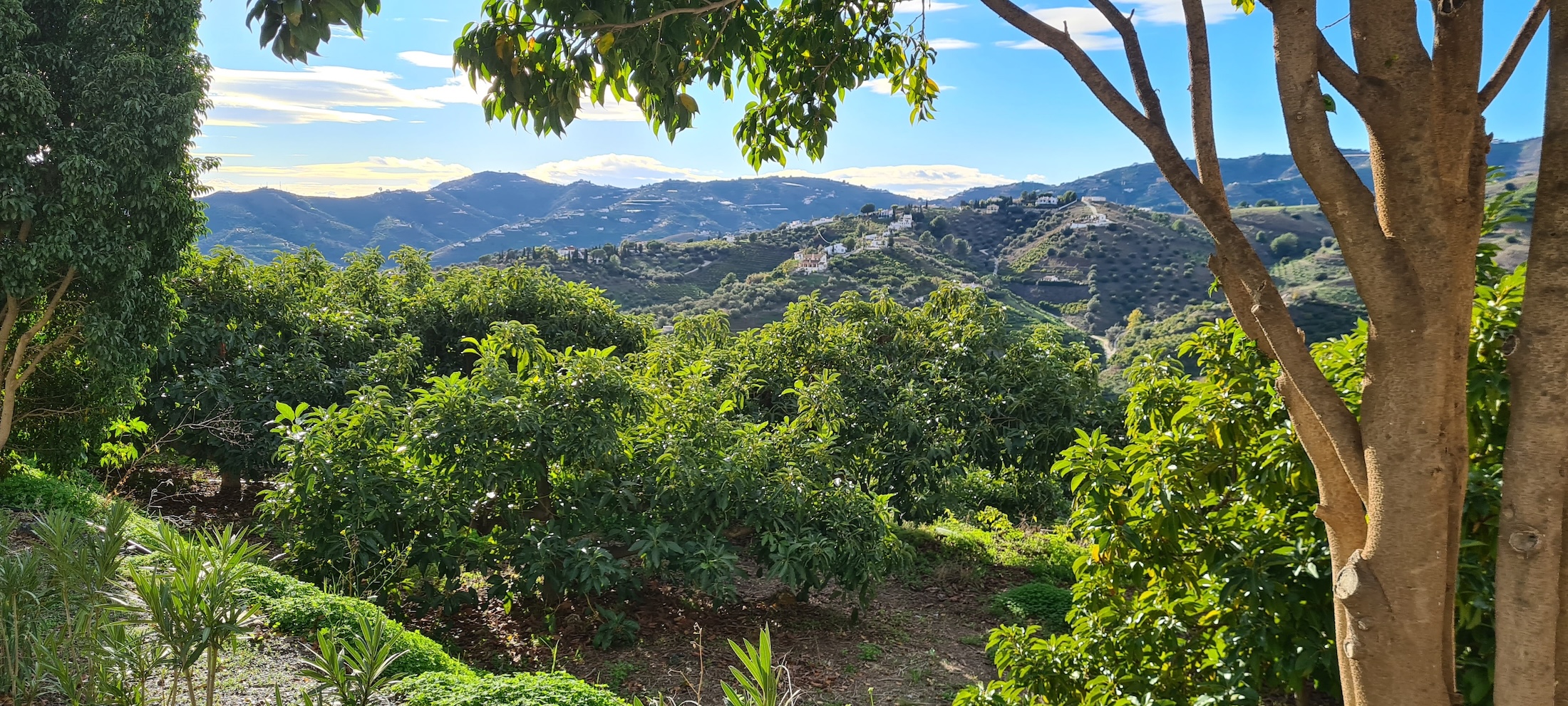 Wanderung in Frigiliana